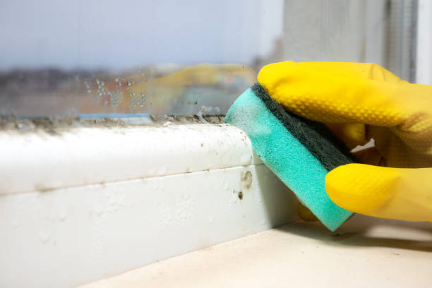 Crawl Space Mold Removal in Gold Key Lake, PA